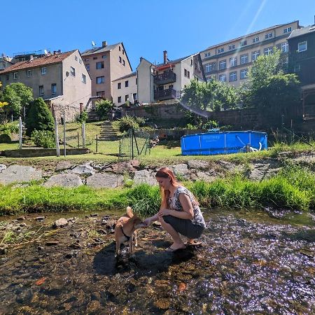 Urlaubstraum Mit Pool, Terrasse & Fluss Im Garten - Ut Appartement Sebnitz Buitenkant foto