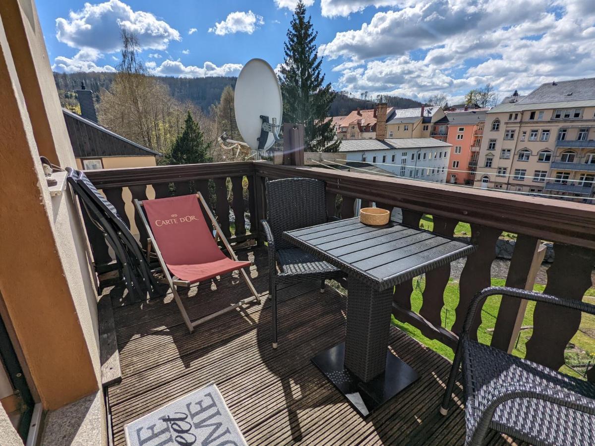 Urlaubstraum Mit Pool, Terrasse & Fluss Im Garten - Ut Appartement Sebnitz Buitenkant foto