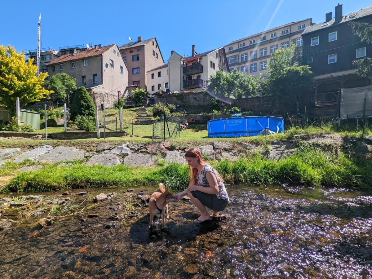 Urlaubstraum Mit Pool, Terrasse & Fluss Im Garten - Ut Appartement Sebnitz Buitenkant foto