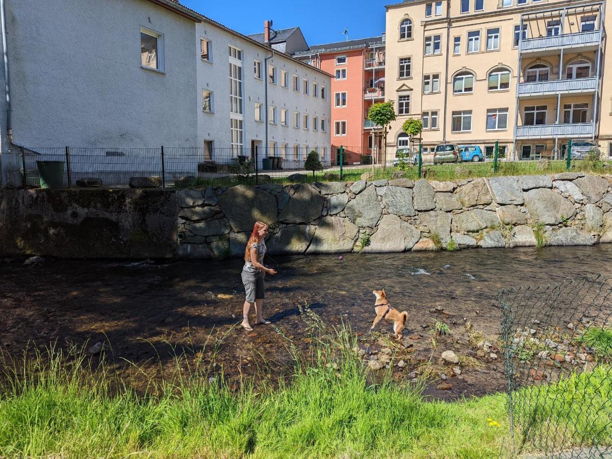 Urlaubstraum Mit Pool, Terrasse & Fluss Im Garten - Ut Appartement Sebnitz Buitenkant foto