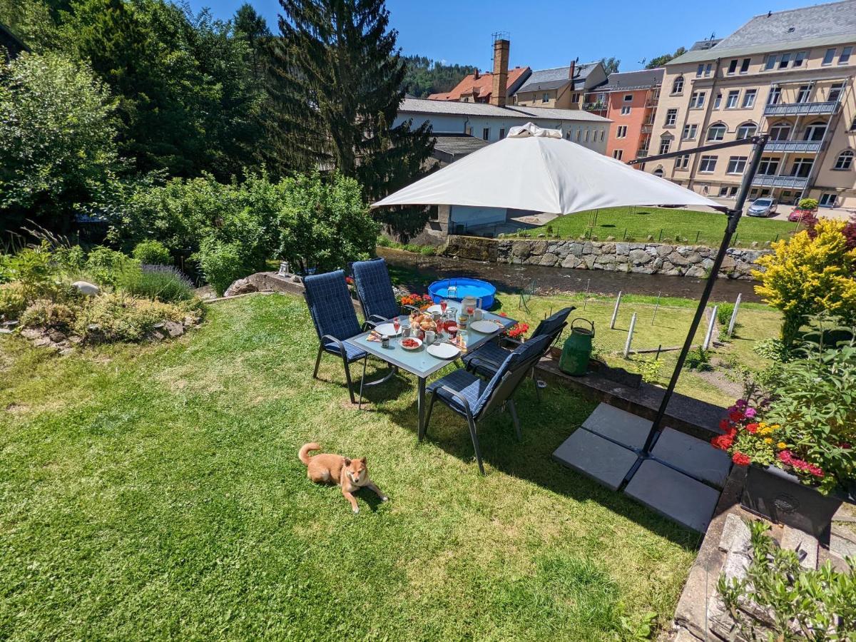 Urlaubstraum Mit Pool, Terrasse & Fluss Im Garten - Ut Appartement Sebnitz Buitenkant foto
