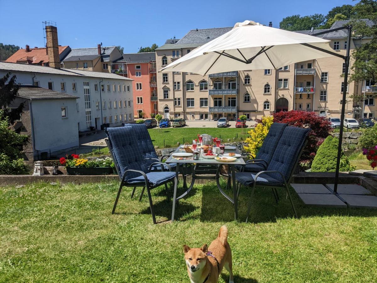 Urlaubstraum Mit Pool, Terrasse & Fluss Im Garten - Ut Appartement Sebnitz Buitenkant foto