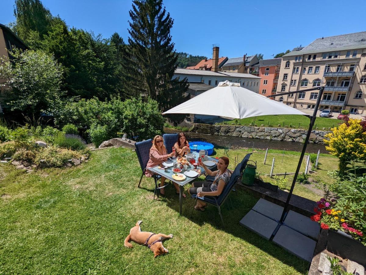 Urlaubstraum Mit Pool, Terrasse & Fluss Im Garten - Ut Appartement Sebnitz Buitenkant foto